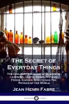 The Secret of Everyday Things cover
