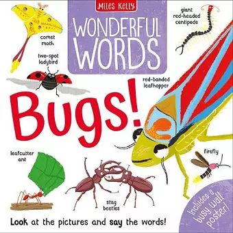Wonderful Words: Bugs! cover