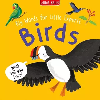 Birds cover