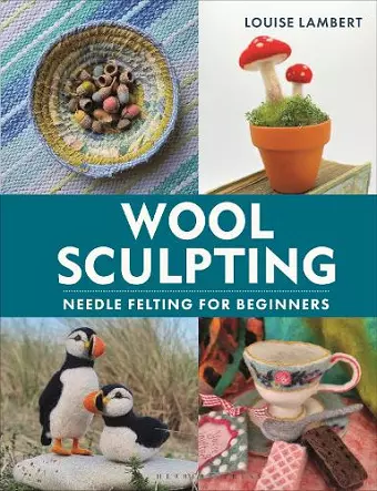 Wool Sculpting cover