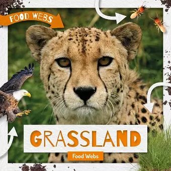 Grassland Food Webs cover