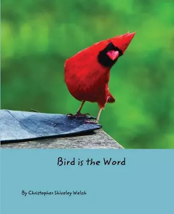 Bird is the Word cover