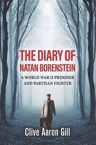 The Diary of Natan Borenstein cover