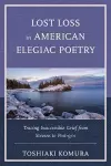 Lost Loss in American Elegiac Poetry cover