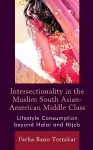 Intersectionality in the Muslim South Asian-American Middle Class cover