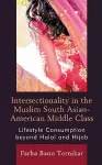 Intersectionality in the Muslim South Asian-American Middle Class cover