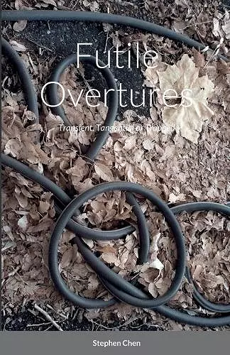 Futile Overtures cover