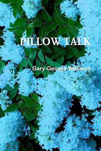 PILLOW TALK cover