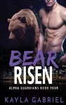 Bear Risen cover