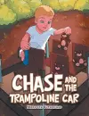 Chase and the Trampoline Car cover