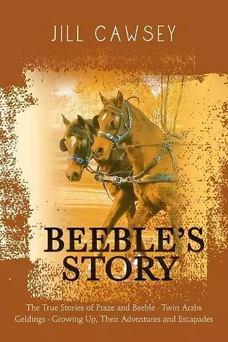 Beeble's Story cover