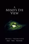 A Mind's Eye View cover