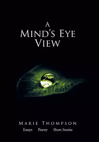 A Mind's Eye View cover