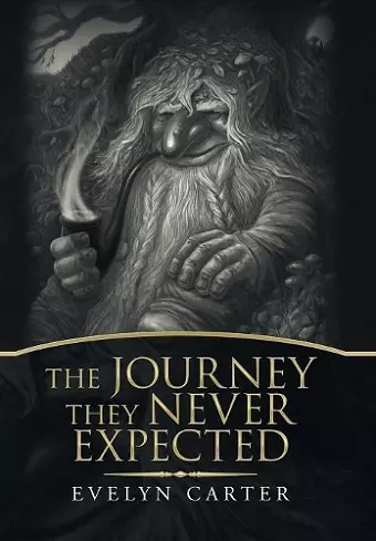 The Journey They Never Expected cover