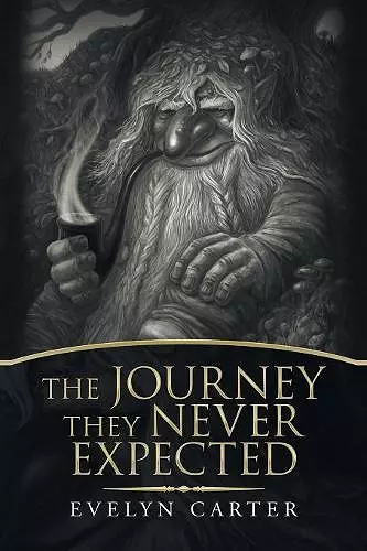 The Journey They Never Expected cover