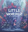 Little Wonder cover