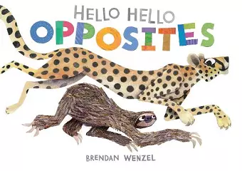 Hello Hello Opposites cover