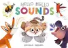 Hello Hello Sounds cover