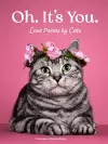 Oh. It's You. cover