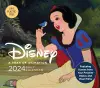 2024 Daily Cal: Disney cover