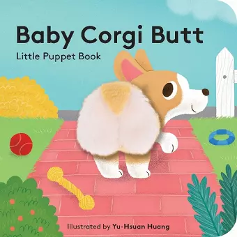Baby Corgi Butt: Little Finger Puppet Book cover