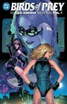 Birds of Prey by Gail Simone Omnibus Vol. 1 cover