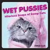 Wet Pussies cover