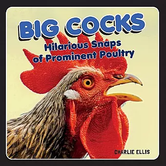 Big Cocks cover