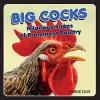 Big Cocks cover