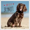 Love is a Spaniel cover