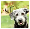 Love is a Mutt cover