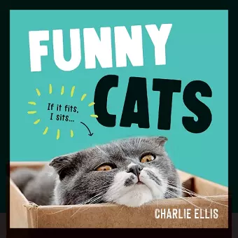 Funny Cats cover