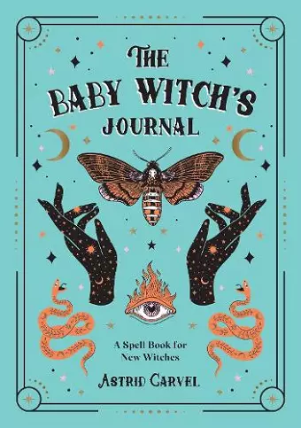 The Baby Witch's Journal cover