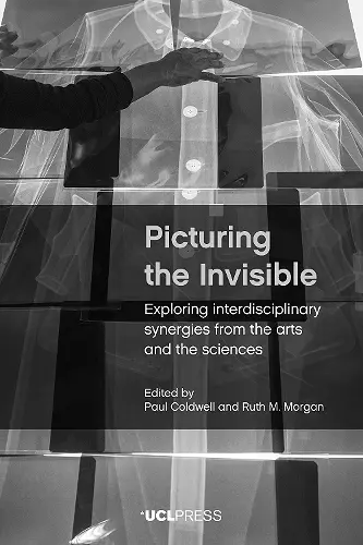 Picturing the Invisible cover