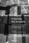 Picturing the Invisible cover