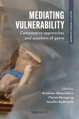 Mediating Vulnerability cover