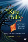 As a Kite Falls cover