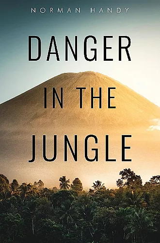 Danger in the Jungle cover