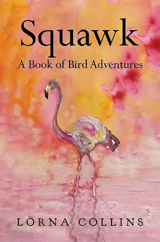 Squawk: A Book of Bird Adventures cover