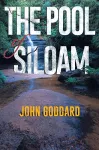 The Pool of Siloam cover