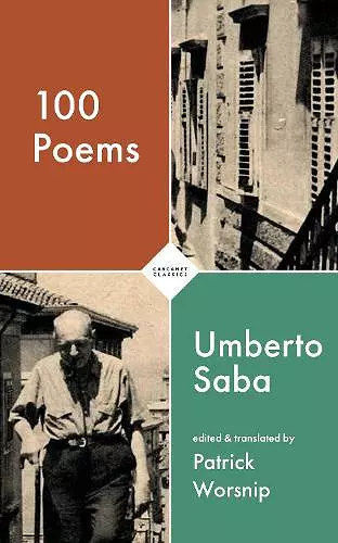 100 Poems cover