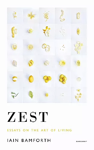 Zest cover
