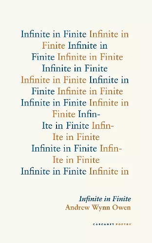 Infinite in Finite cover