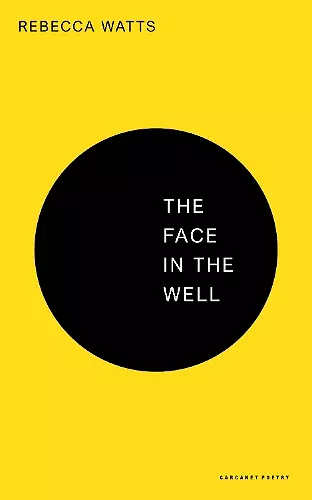 The Face in the Well cover