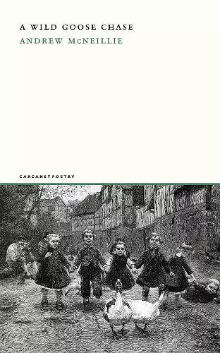 A Wild Goose Chase cover