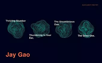 The Dead One, The Unconscious One, Thundering in Your Ear, Thriving Slumber cover