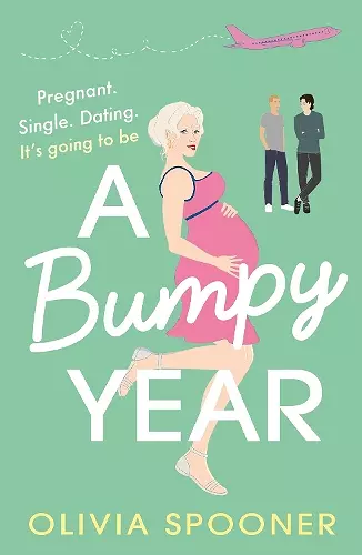 A Bumpy Year cover