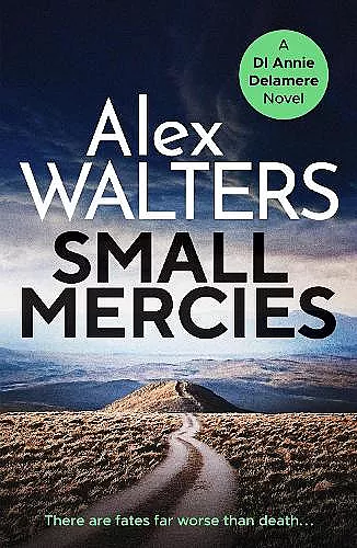 Small Mercies cover