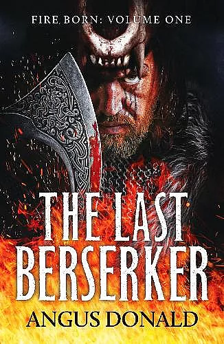 The Last Berserker cover