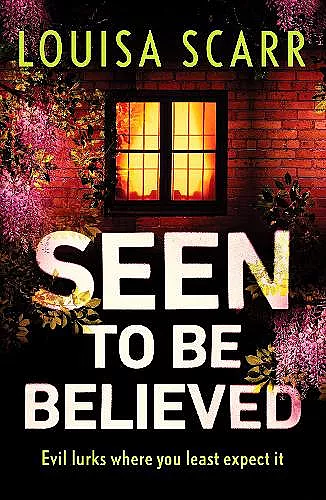 Seen to Be Believed cover